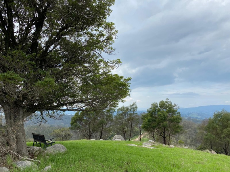Lot 611 Peak Hill Road, Buckajo NSW 2550