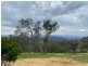 Lot 611 Peak Hill Road, Buckajo NSW 2550