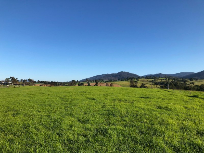 334 Yowrie Road, Wandella NSW 2550