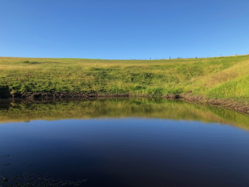 334 Yowrie Road, Wandella NSW 2550