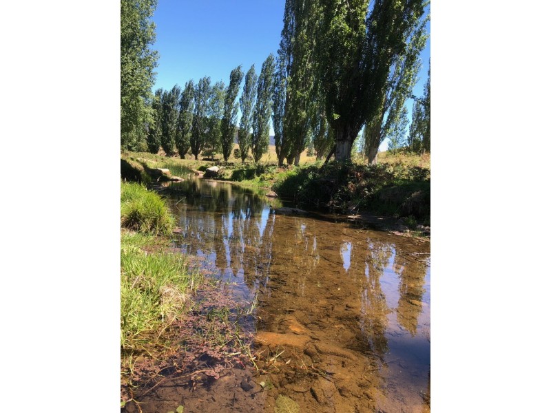 324 Alcock Collins Road, Bemboka NSW 2550