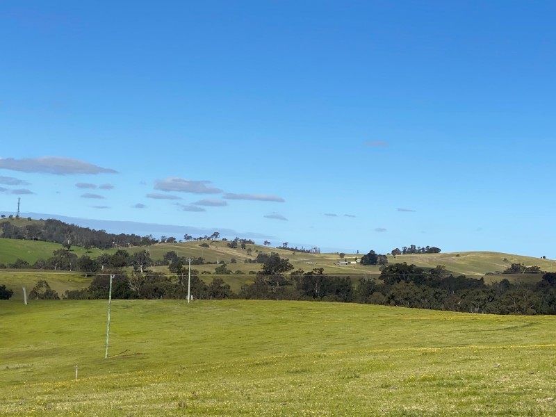 324 Alcock Collins Road, Bemboka NSW 2550