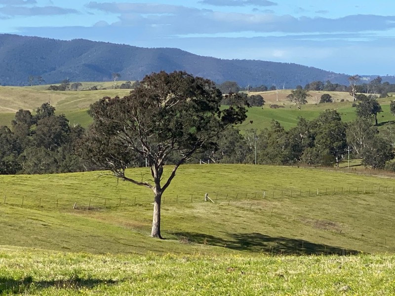 324 Alcock Collins Road, Bemboka NSW 2550