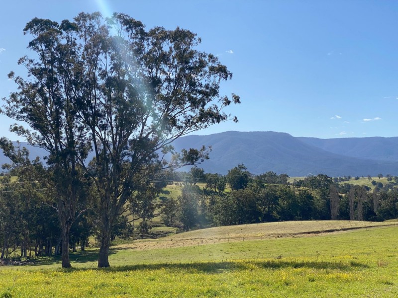 324 Alcock Collins Road, Bemboka NSW 2550