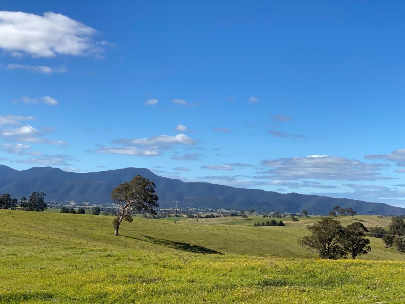 324 Alcock Collins Road, Bemboka NSW 2550