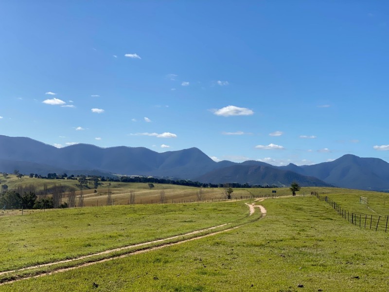 324 Alcock Collins Road, Bemboka NSW 2550