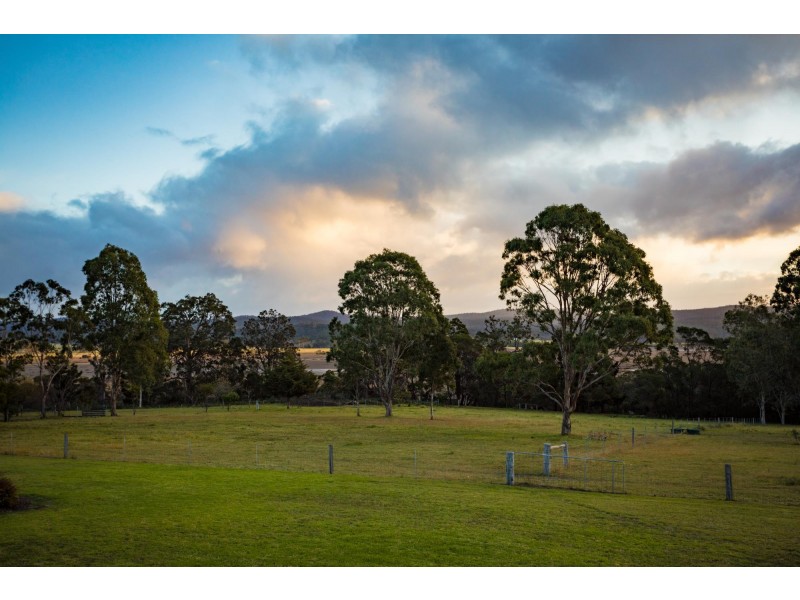 61 Armstrong Drive, Kalaru NSW 2550