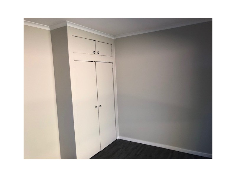 141B Spring Creek Road, Buckajo NSW 2550