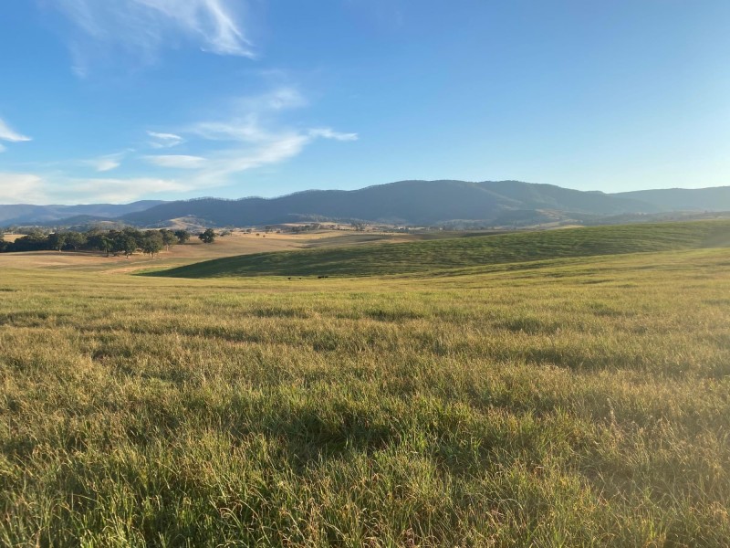 Lot 711 Tantawangalo Lane, Tantawangalo NSW 2550