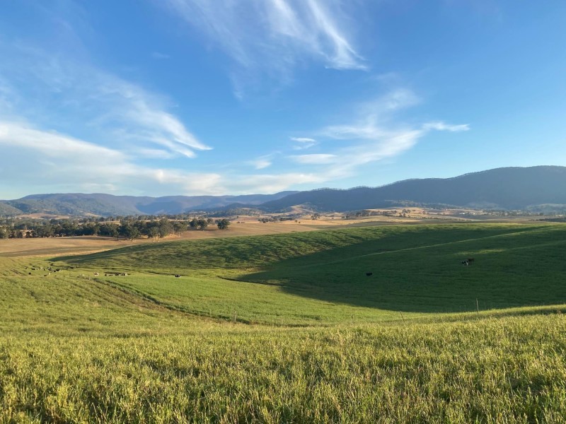 Lot 711 Tantawangalo Lane, Tantawangalo NSW 2550