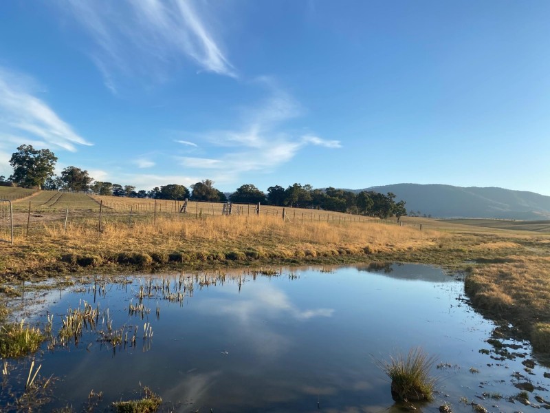 Lot 711 Tantawangalo Lane, Tantawangalo NSW 2550