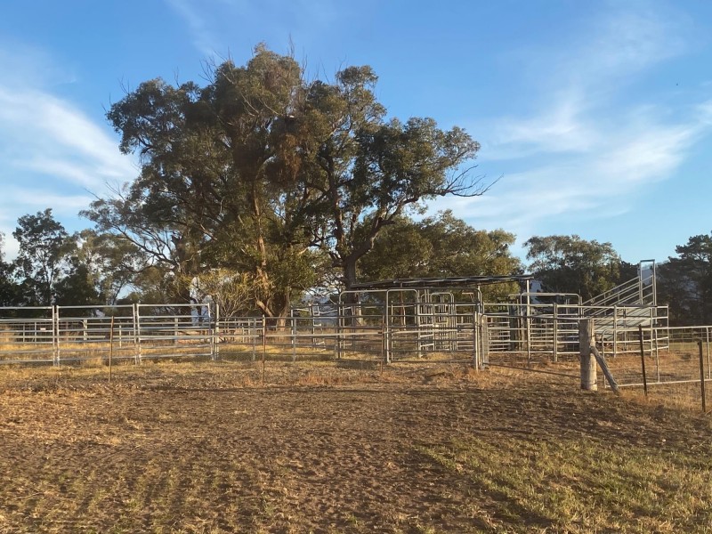 Lot 711 Tantawangalo Lane, Tantawangalo NSW 2550