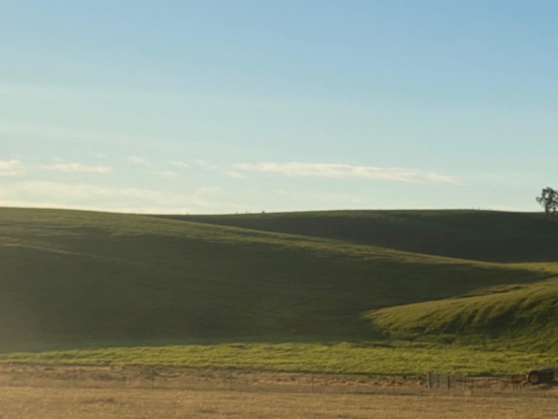 Lot 711 Tantawangalo Lane, Tantawangalo NSW 2550