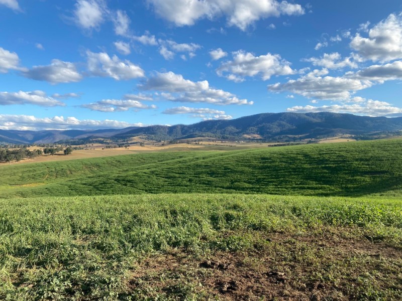 Lot 711 Tantawangalo Lane, Tantawangalo NSW 2550