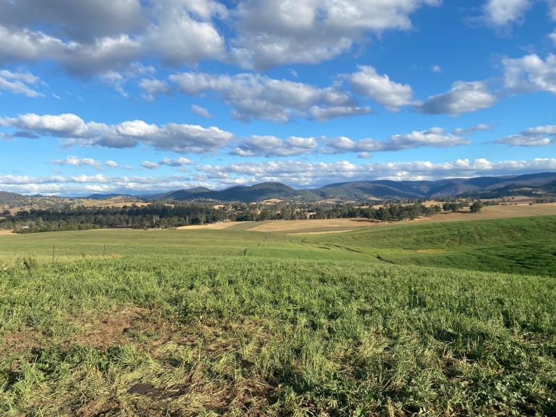 Lot 711 Tantawangalo Lane, Tantawangalo NSW 2550