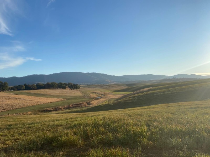 Lot 711 Tantawangalo Lane, Tantawangalo NSW 2550