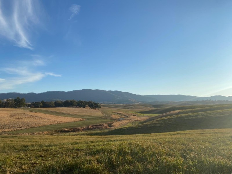 Lot 711 Tantawangalo Lane, Tantawangalo NSW 2550