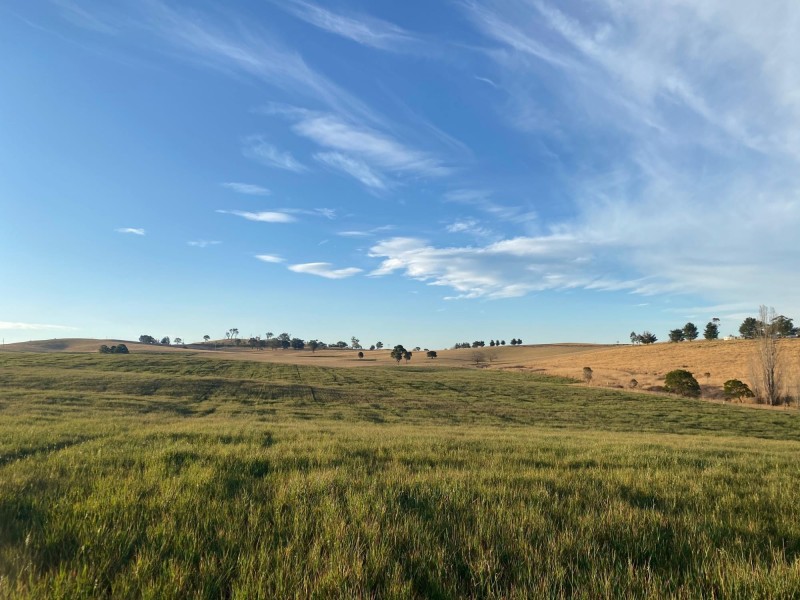 Lot 711 Tantawangalo Lane, Tantawangalo NSW 2550