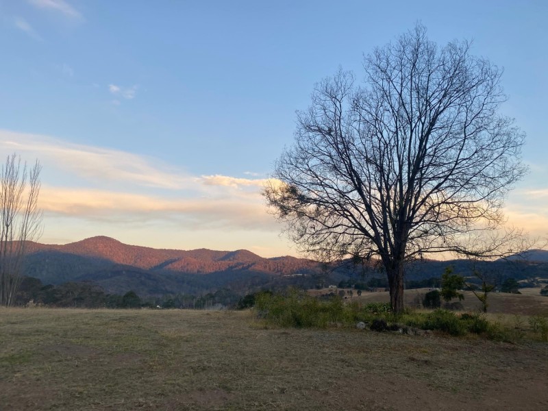 519 New Buildings Road, Wyndham NSW 2550