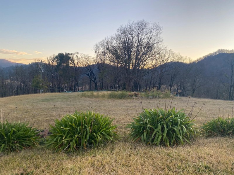 519 New Buildings Road, Wyndham NSW 2550