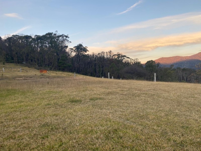 519 New Buildings Road, Wyndham NSW 2550