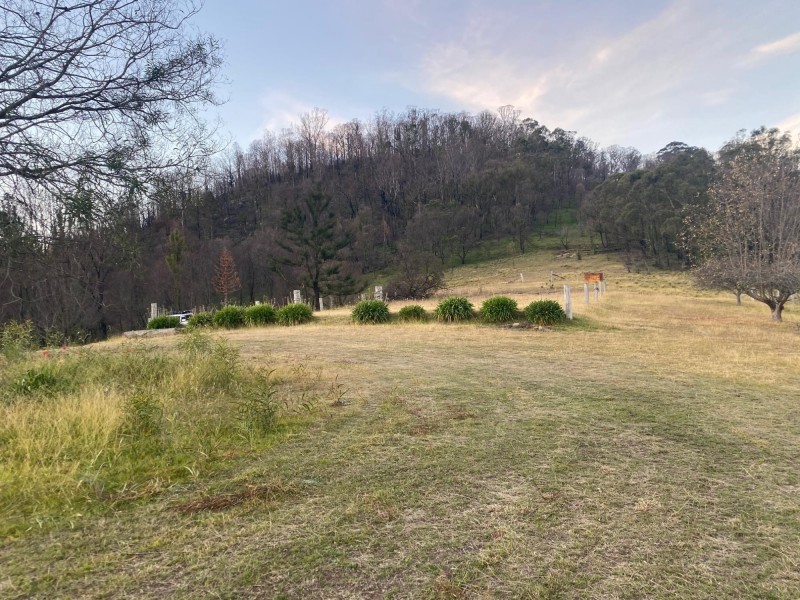 519 New Buildings Road, Wyndham NSW 2550