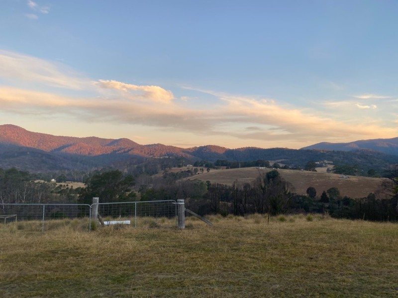 519 New Buildings Road, Wyndham NSW 2550