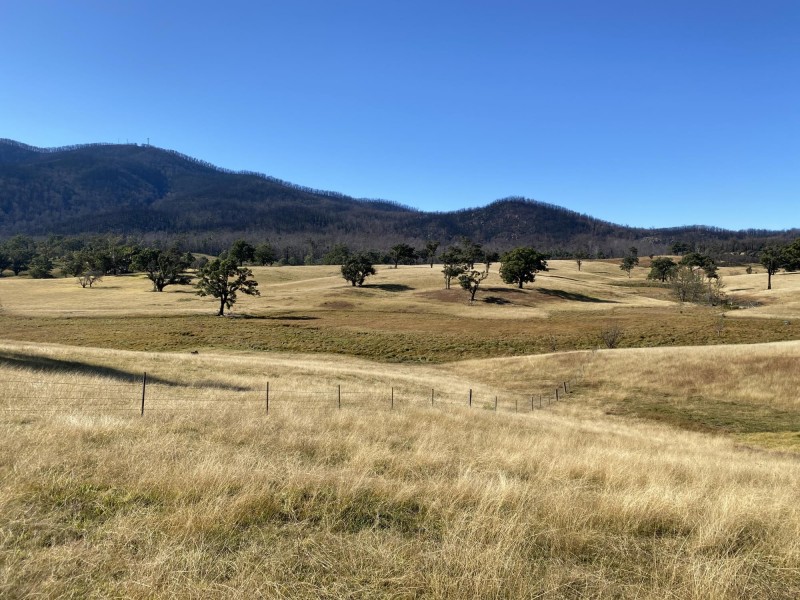 1176 Yowrie Road, Yowrie NSW 2550