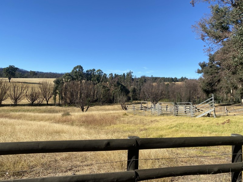 1176 Yowrie Road, Yowrie NSW 2550