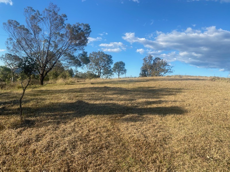 Lot 260 Mount Pleasant Road, Bega NSW 2550