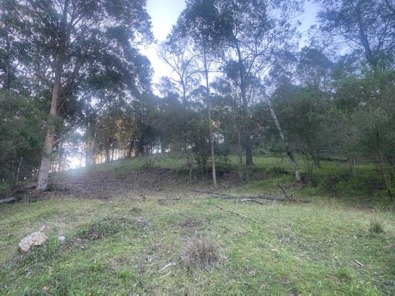 Lot 260 Mount Pleasant Road, Bega NSW 2550