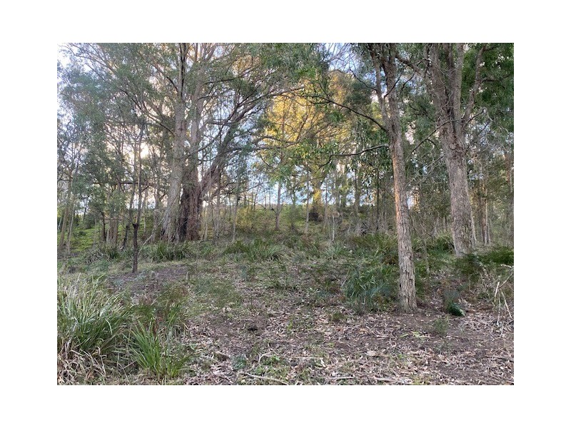 Lot 260 Mount Pleasant Road, Bega NSW 2550