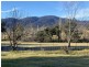 160 Watts Road, Yowrie NSW 2550