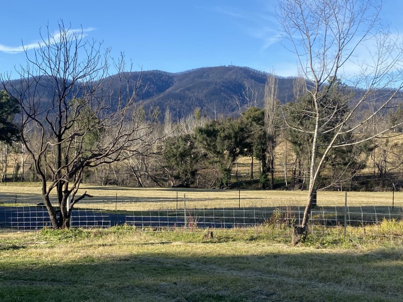 160 Watts Road, Yowrie NSW 2550