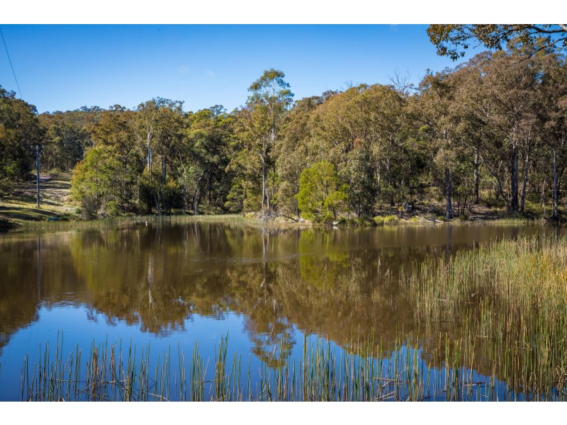 824 Burragate Rd, Wyndham NSW 2550