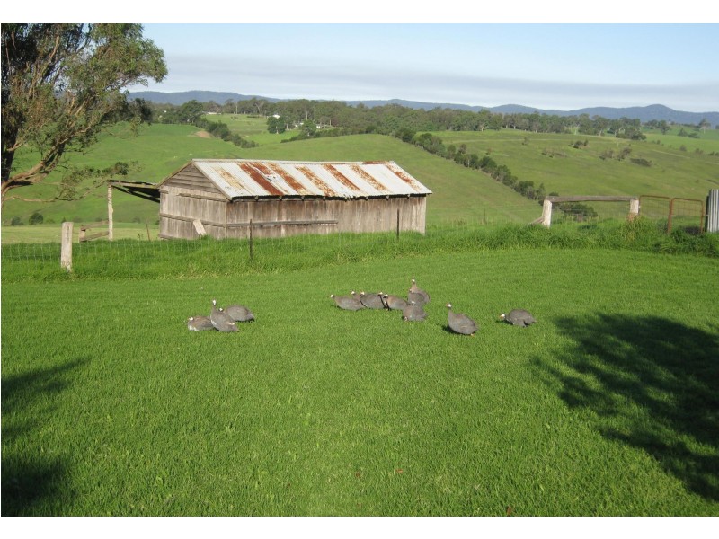 733 Candelo Bega Road, Bega NSW 2550