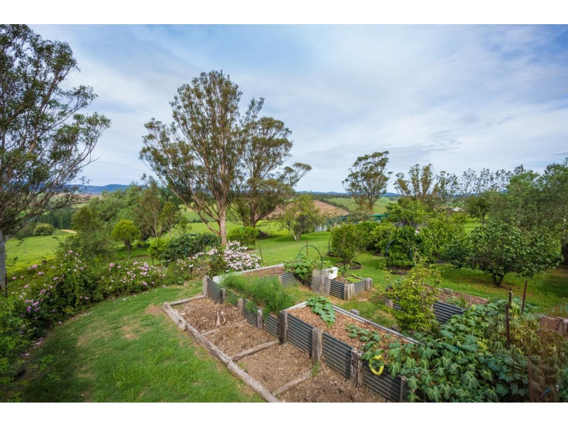 733 Candelo Bega Road, Bega NSW 2550