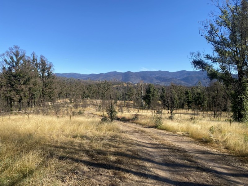 1084 Yowrie Road,, Yowrie NSW 2550