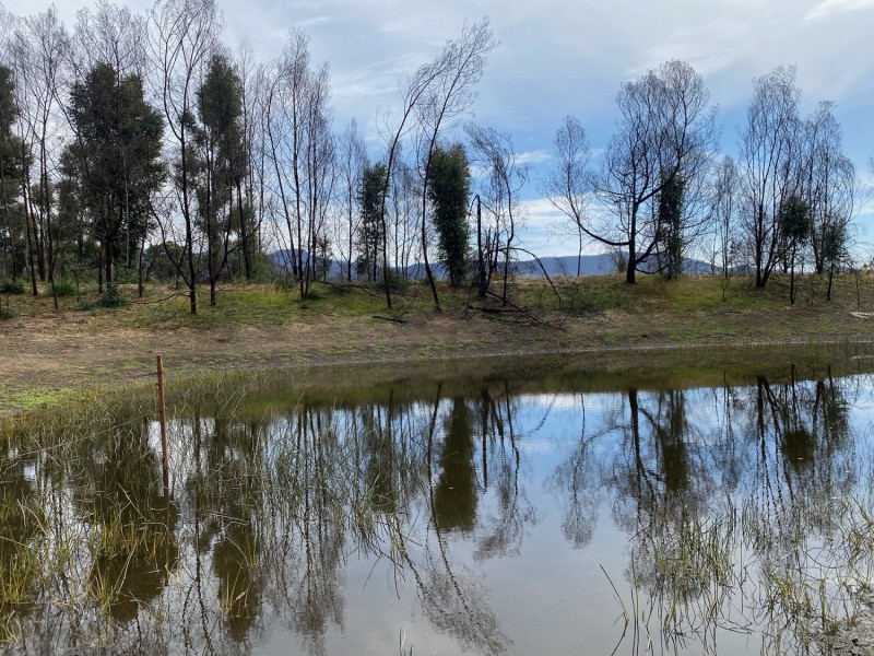 1084 Yowrie Road,, Yowrie NSW 2550