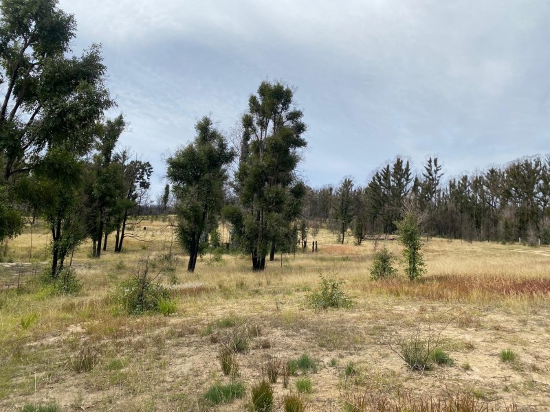 1084 Yowrie Road,, Yowrie NSW 2550