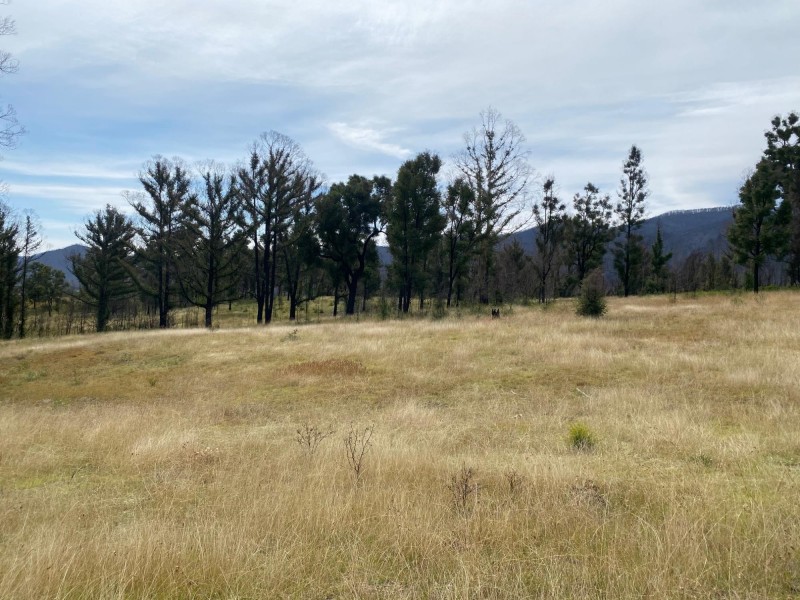 1084 Yowrie Road,, Yowrie NSW 2550