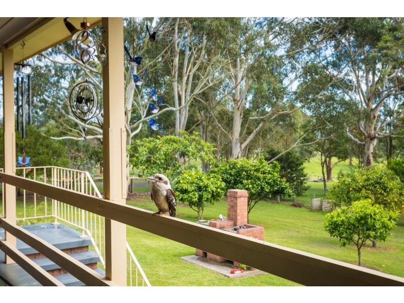 29 Nullica Road, Tarraganda NSW 2550