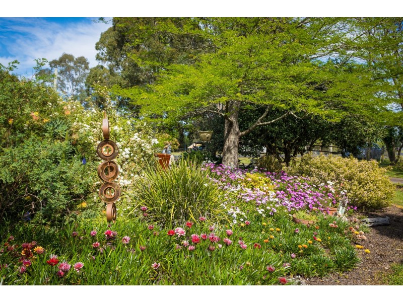 29 Nullica Road, Tarraganda NSW 2550