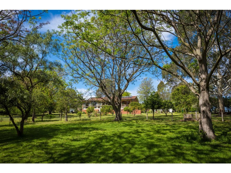 29 Nullica Road, Tarraganda NSW 2550