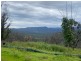 166 Hore Laceys Road, Brogo NSW 2550