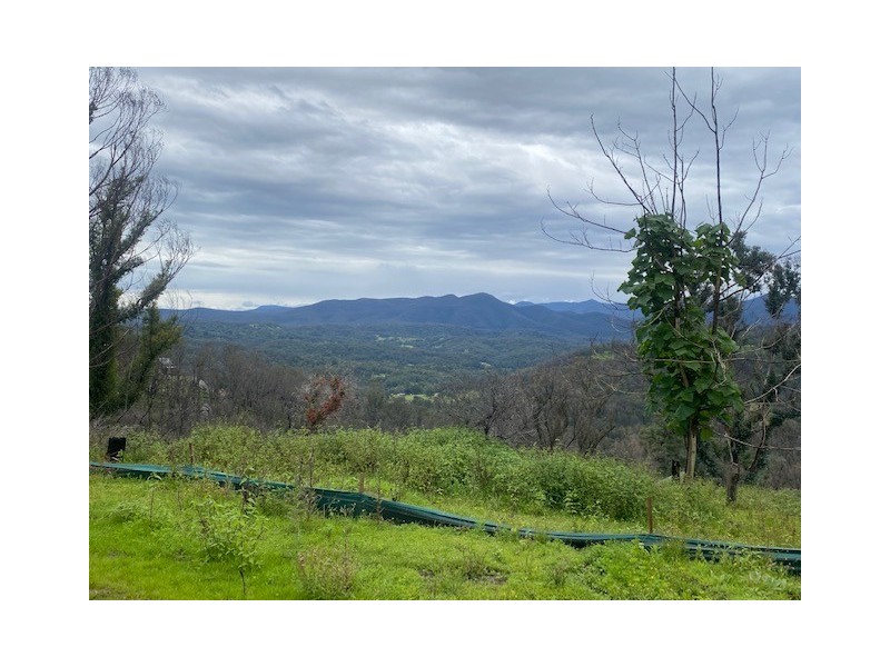 166 Hore Laceys Road, Brogo NSW 2550