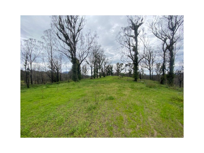 166 Hore Laceys Road, Brogo NSW 2550