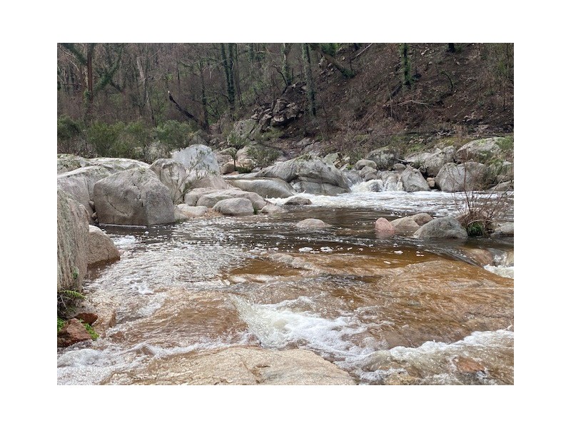 1466 Tantawangalo Mountain Road, Candelo NSW 2550