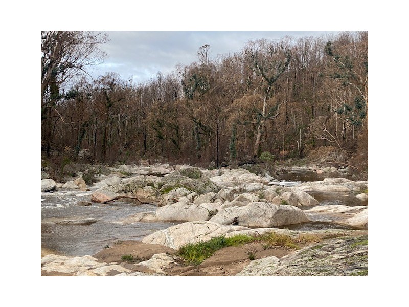 1466 Tantawangalo Mountain Road, Candelo NSW 2550