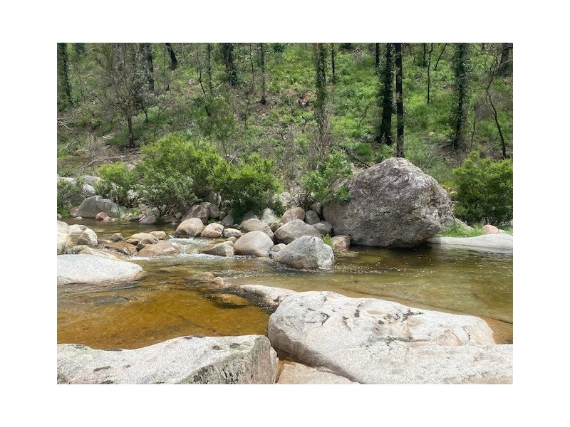 1466 Tantawangalo Mountain Road, Candelo NSW 2550